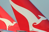 Qantas kangaroo on plane tail.