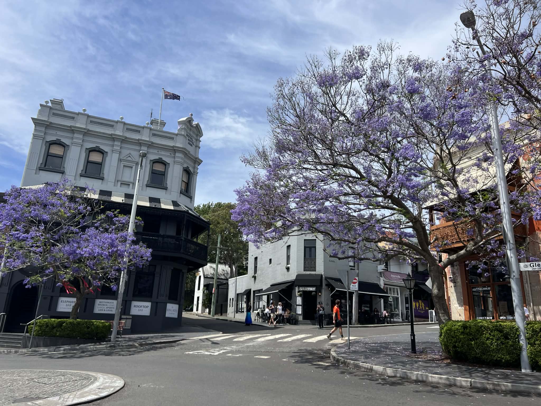 Árboles con flores de color púrpura en una intersección de calles suburbanas con edificios ornamentados y brillantes detrás de ellos