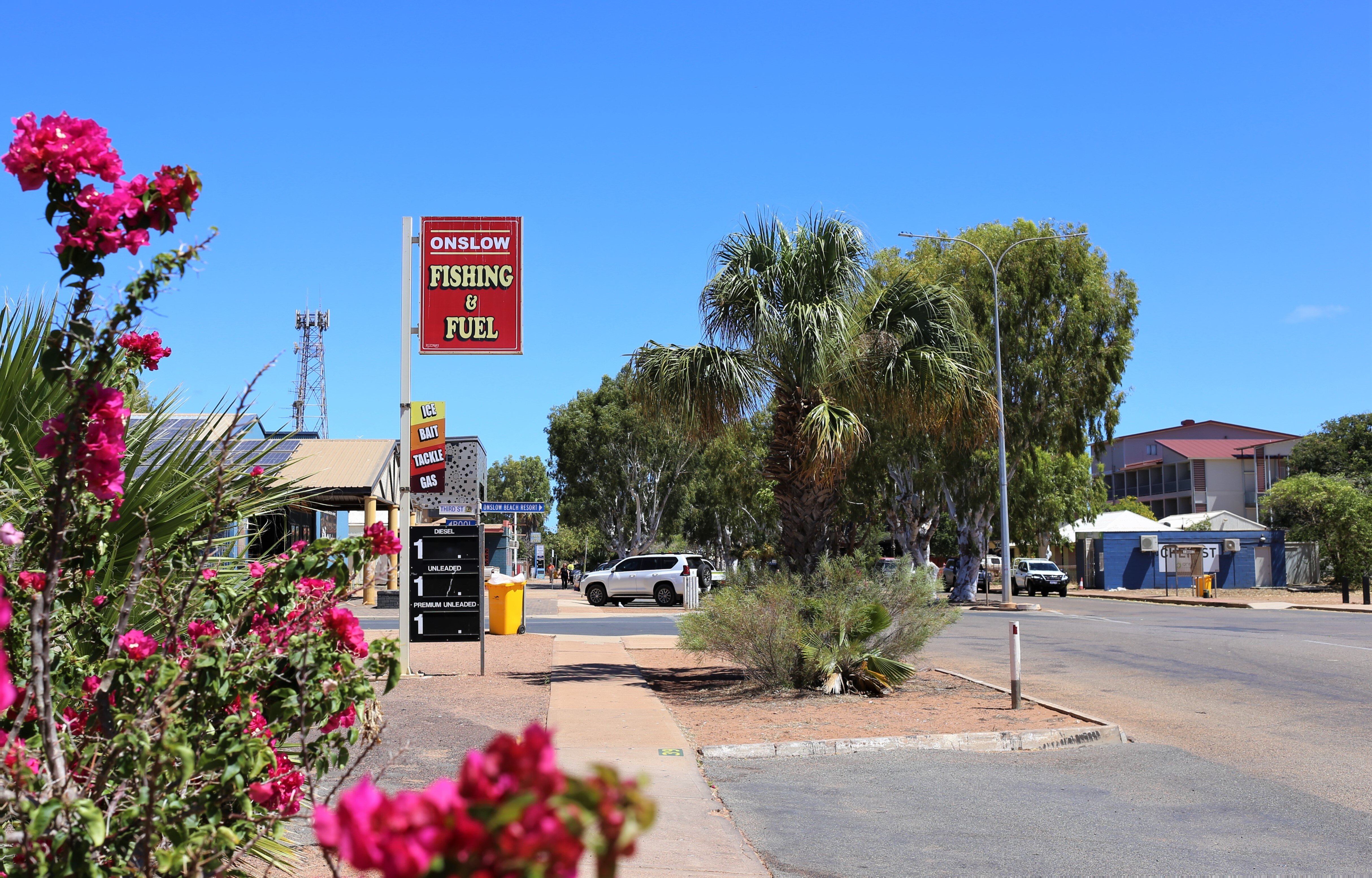 View of Onslow's main street with pink flowers in the foreground and sign saying "Onslow fishing and fuel".