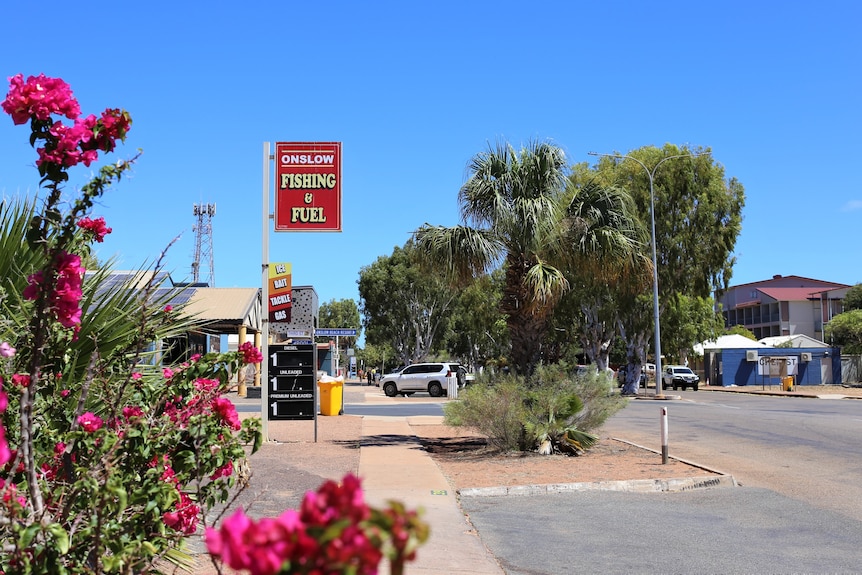 View of Onslow's main street with pink flowers in the foreground and sign saying "Onslow fishing and fuel".