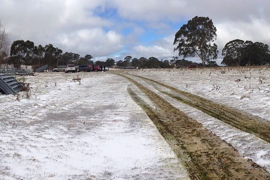 Cars line up at the entrance of a paddock covered in snow on the Queensland and New South Wales border.