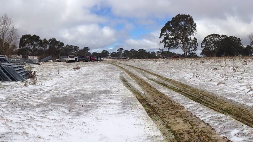 Cars line up at the entrance of a paddock covered in snow on the Queensland and New South Wales border.