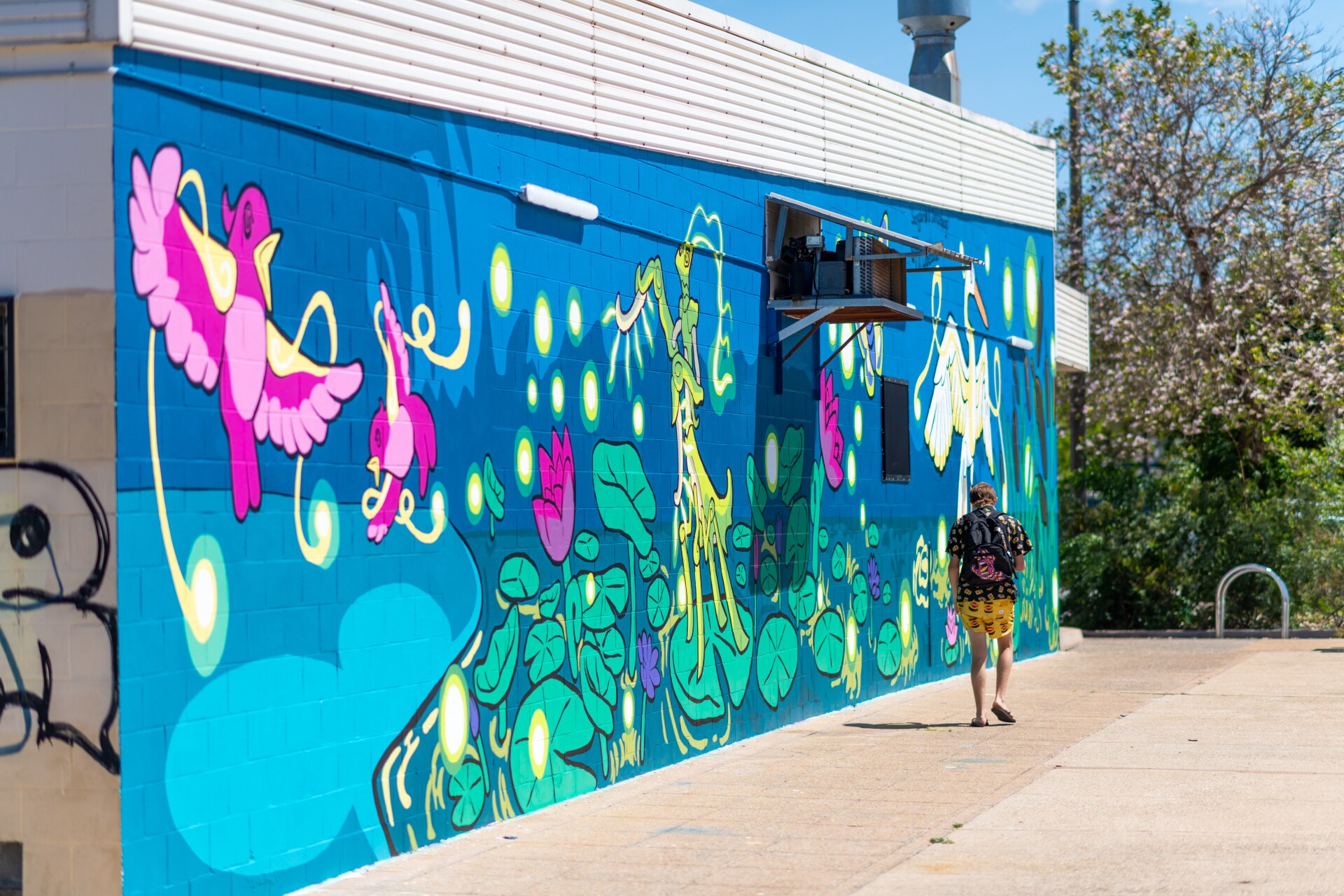 Darwin Street Art Map Darwin Street Art Festival Expands To Suburbs, Katherine, Tennant Creek,  Alice Springs - Abc News