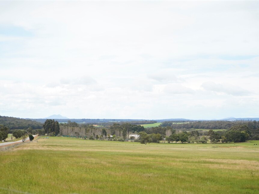 Wide image of an open field, with a tree line and buildings in the far distance.