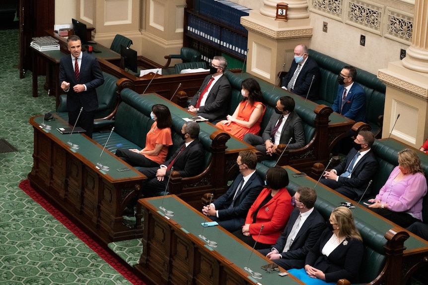 A man stands and other people sit on green seats in parliament