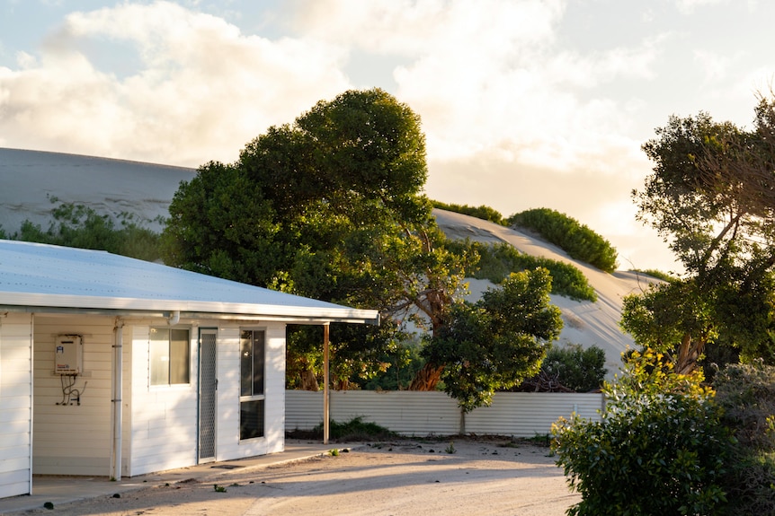 A house and tree in front of a large sand dune.