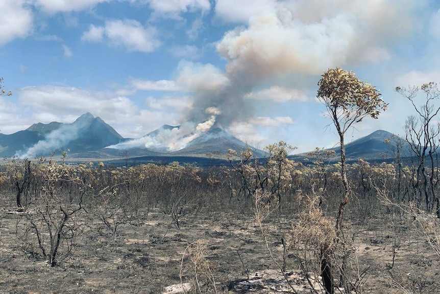 A roadside view of the burnt bluff knoll