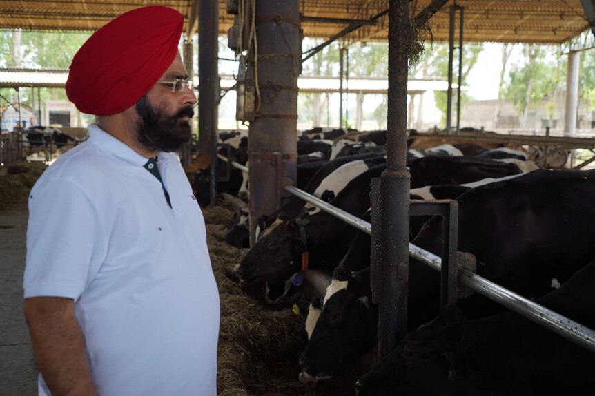 Dairy owner Daljit Singh Gill