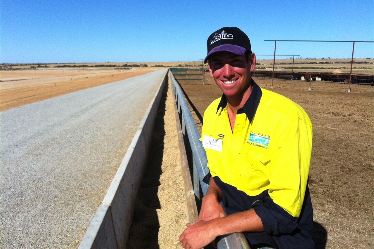 Better Beef Day looks at balancing business with animal welfare ...