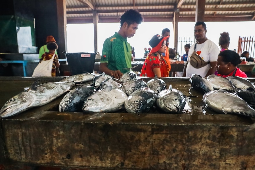 A close up of a line of fish sitting on a bench with a woman overlooking the stall.