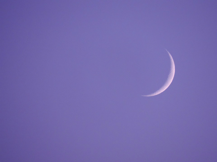 A crescent moon in a purple sky