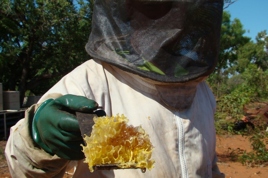 A man in a black bee mask and white suit holds a chunk of honeycomb.