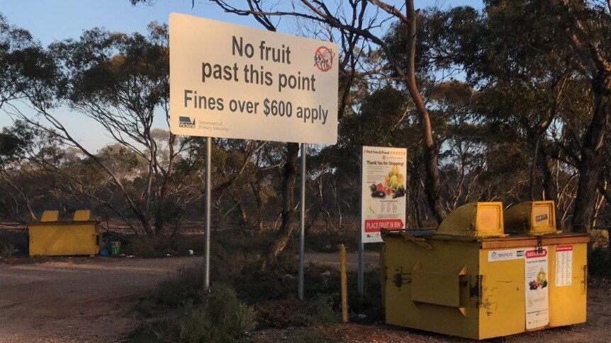 A sign forbids fruit from entering a checkpoint, with fruit bins underneath.