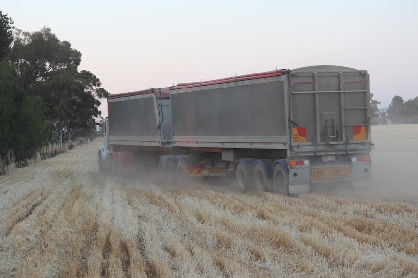 A grain truck heads out of a recently harvested paddock