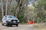 A police vehicle blocks a dirt road with SES volunteers wearing orange in the background.