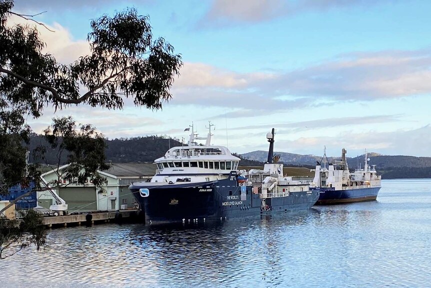 Huon Aquaculture's Ronja Huon vessel docked at Port Huon, south of Hobart.