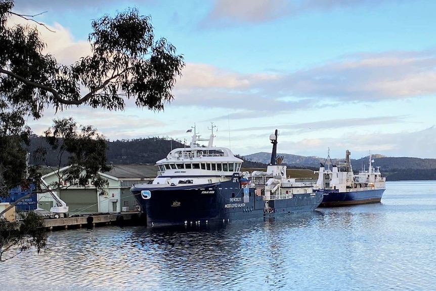 Huon Aquaculture's Ronja Huon vessel docked at Port Huon, south of Hobart.