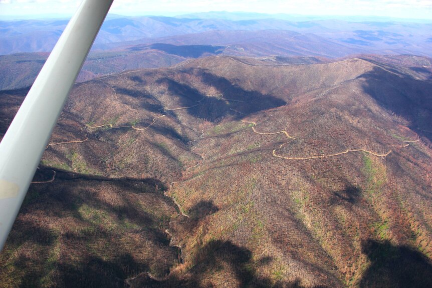 An aerial view of mountains quite bare after bushfires destroyed canopy trees.