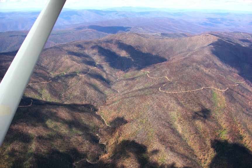 An aerial view of mountains quite bare after bushfires destroyed canopy trees.