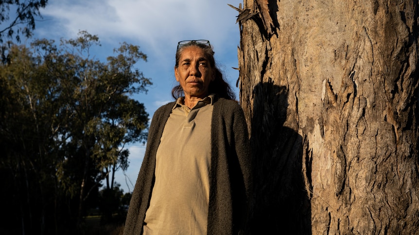 A woman stands next to a gumtree at golden hour. Her shadow is on the gumtree. Trees and rivers in the background.