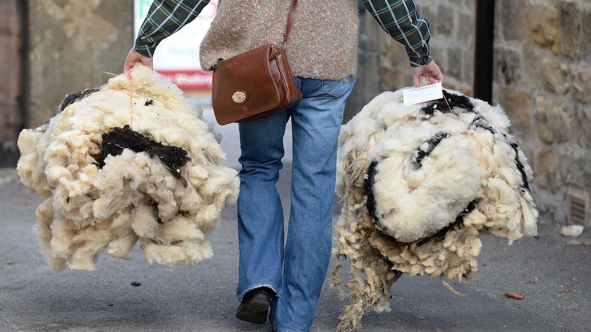 Masham sheep fair