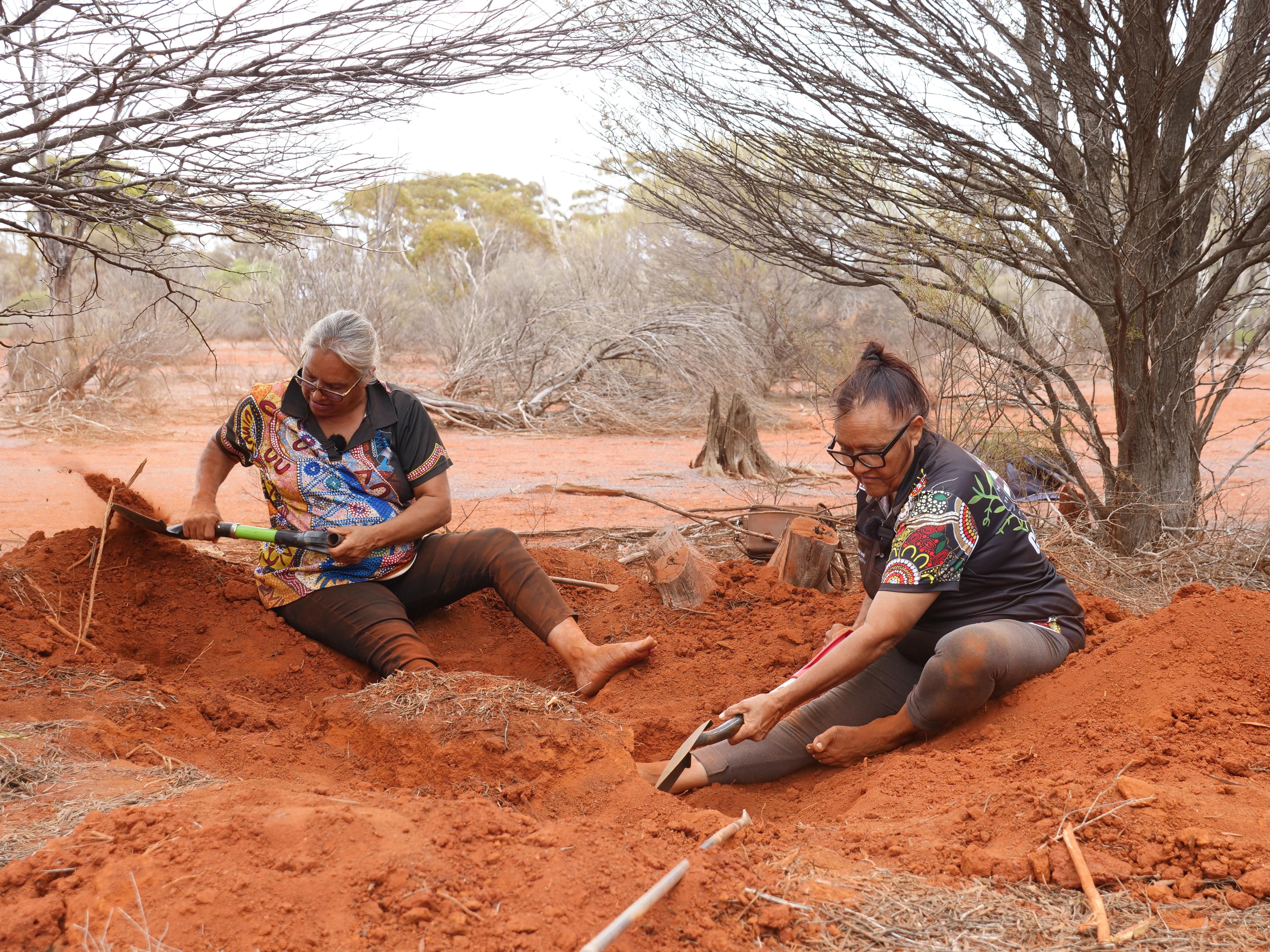 Honeypot ants from deep in the West Australian Goldfields could hold