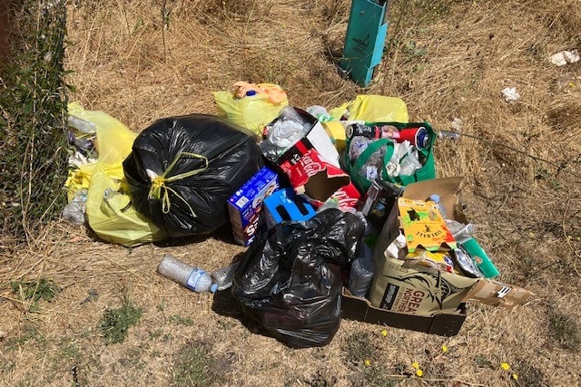 Large garbage bags of rubbish, beer and soft drink cartons lie on a patch of grass under the sun.