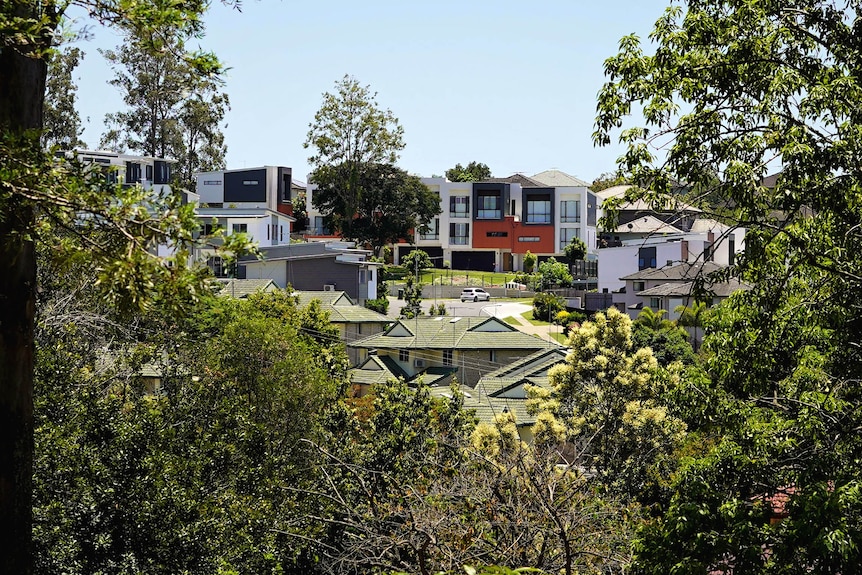 Houses on a hill seen through trees in the foreground