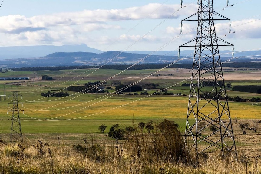 Electricity power lines in a rural Tasmanian setting