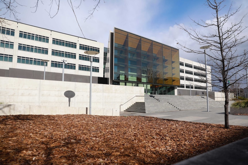 White rectangular, concrete building with glass windows and brown glass entrance way and blue sky.