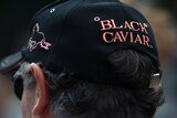 Black Caviar supporters show their true colours