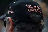 Black Caviar supporters show their true colours