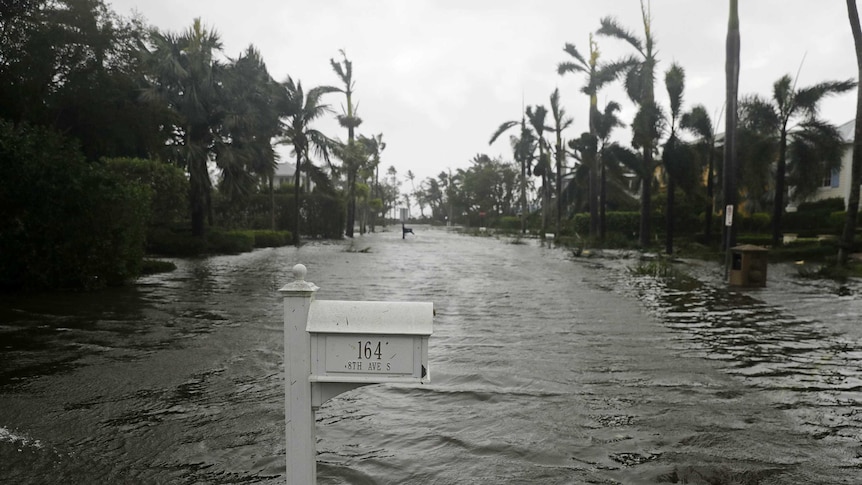 Floodwaters rise along a residential street in Naples Florida, a white post box is submerged