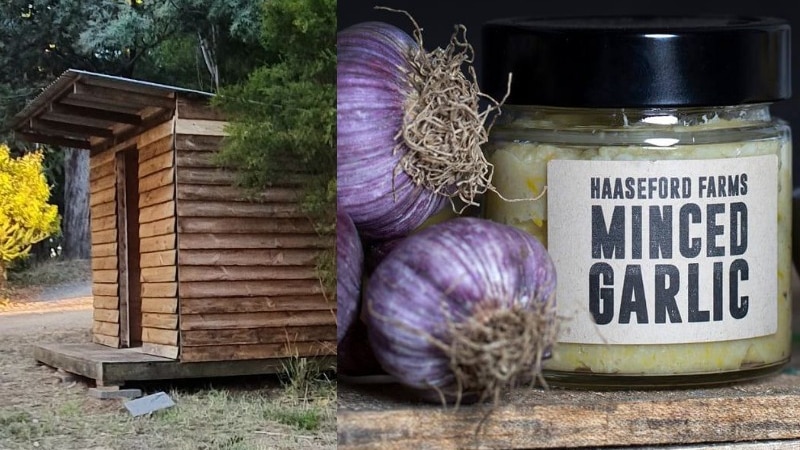 wooden shed in rural area and close up of jar of minced garlic and three purple onions