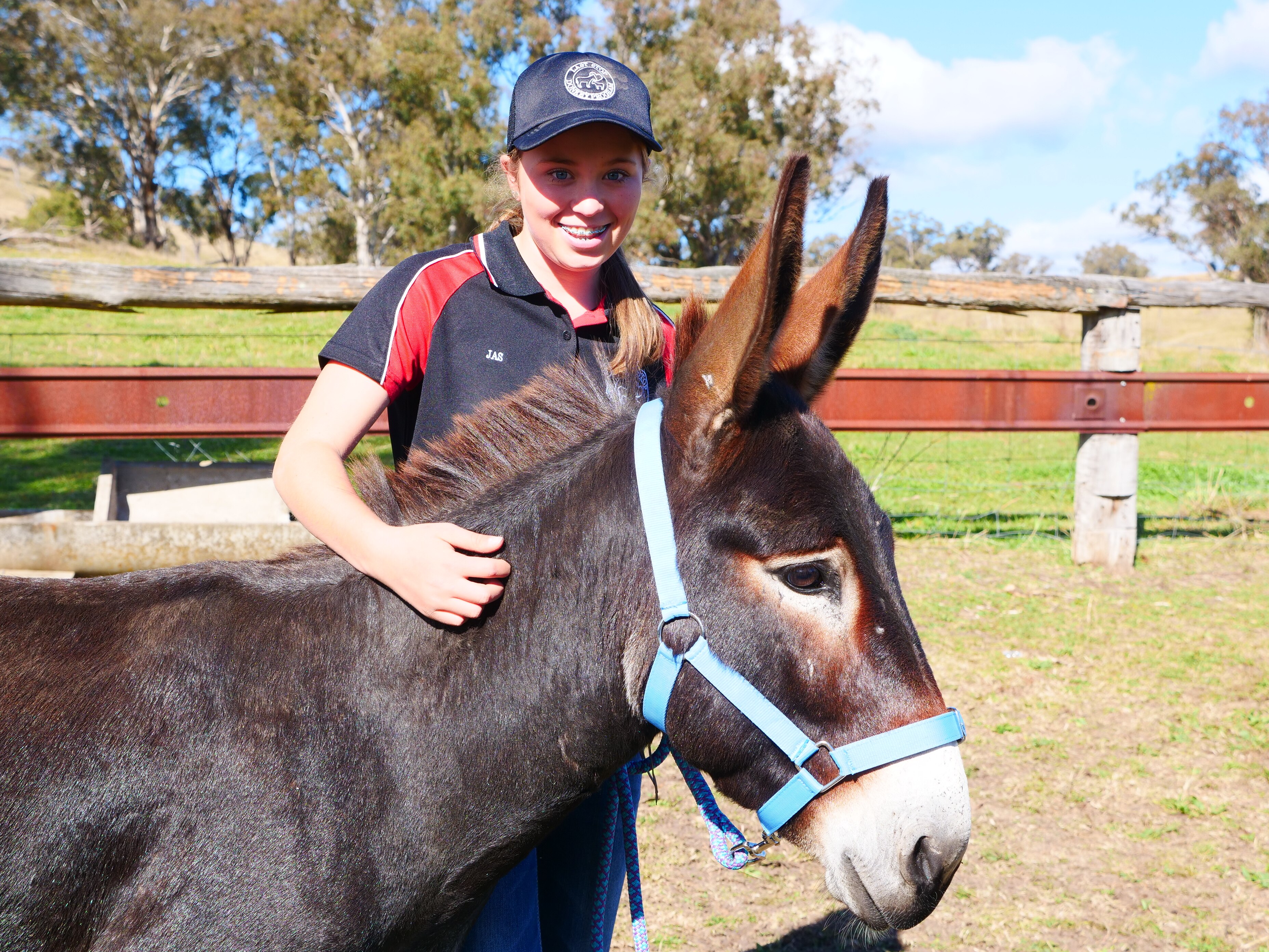 A teenage girl stands behind a donkey with her arm over his neck, patting it.