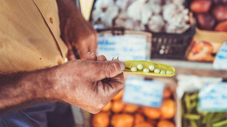 Man holding fresh peas, with garlic, mandarins and other veggies in the background.