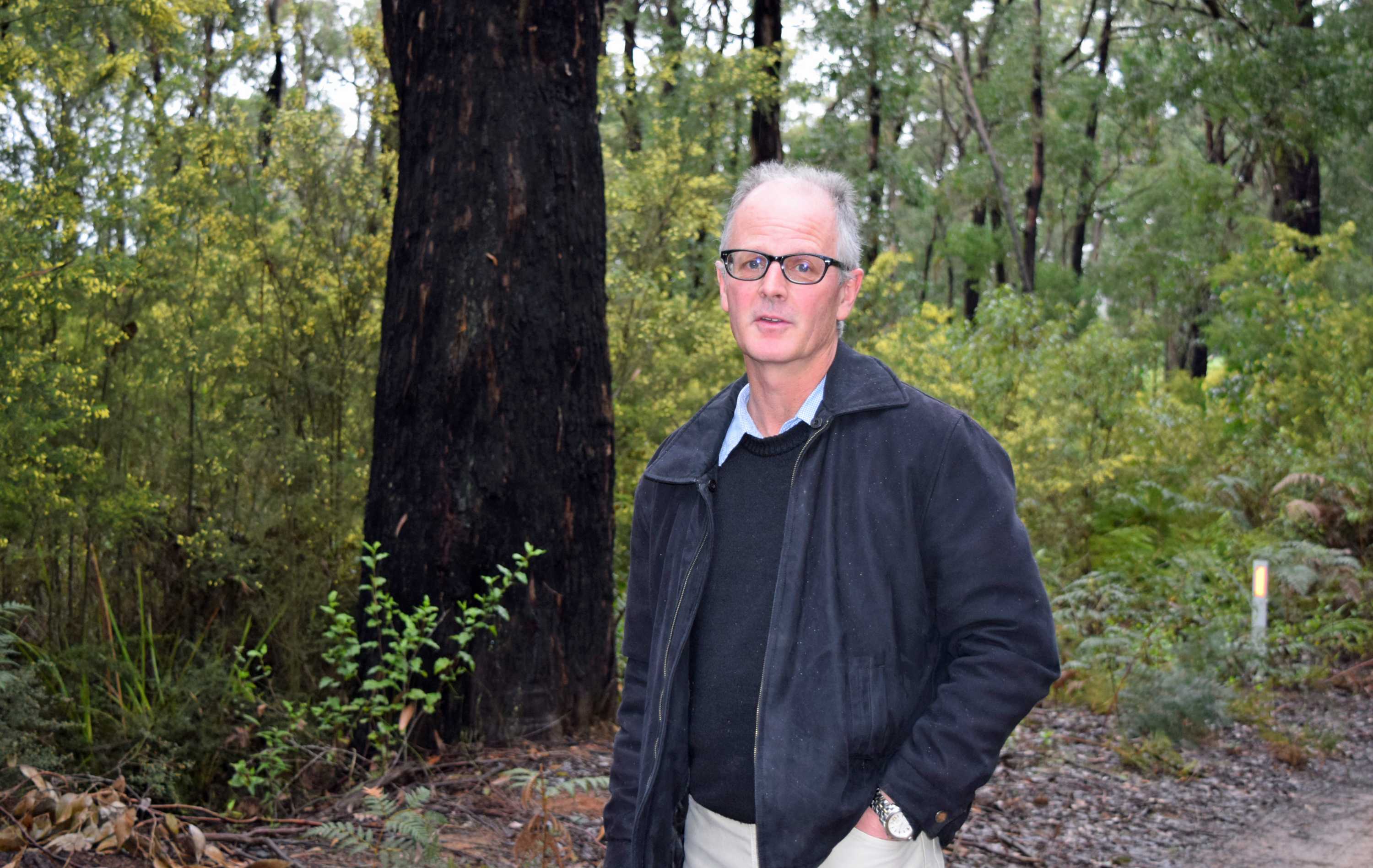 A man with white hair, wearing a blue jacket, stands in front of a large tree in a state forest.