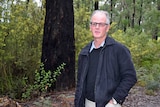 A man with white hair, wearing a blue jacket, stands in front of a large tree in a state forest.