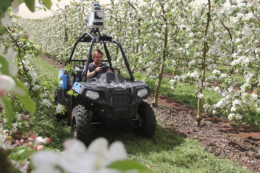 A man drives a quad bike fitted with a high-tech camera down an apple orchard row in flower