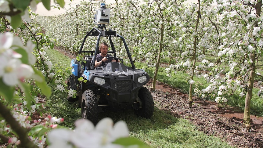 A man drives a quad bike fitted with a high-tech camera down an apple orchard row in flower