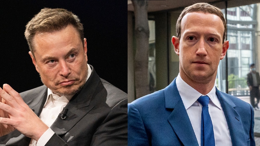 Elon Musk and Mark Zuckerberg