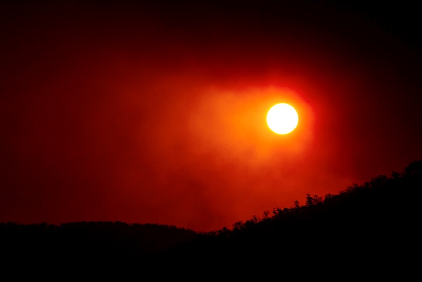 A reddish sun rises through smoky air.