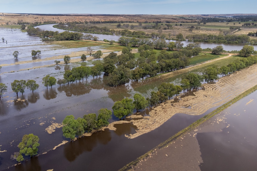 Flooded riverbanks with a build up of aglae