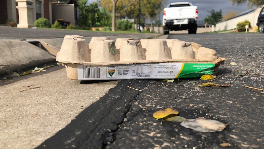 A carton of eggs sit on the road On Birch Ave, Salisbury East.