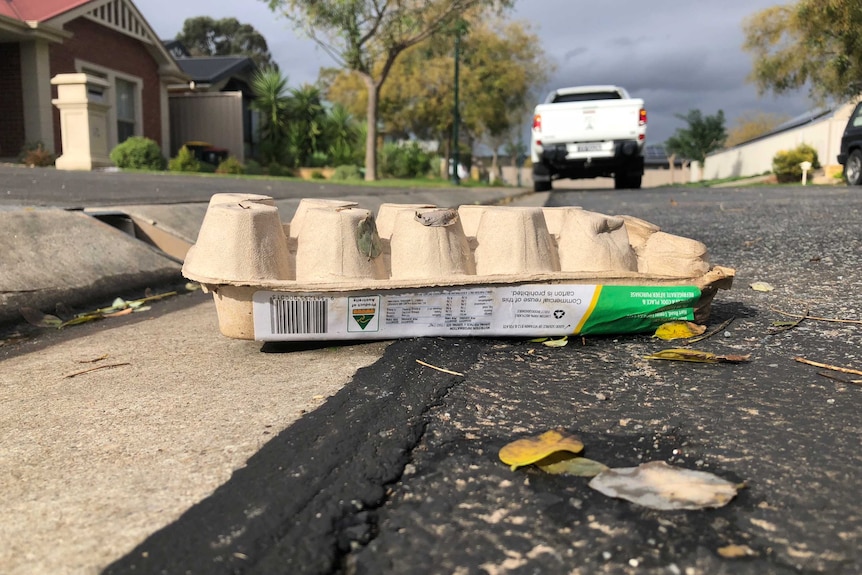 A carton of eggs sit on the road On Birch Ave, Salisbury East.