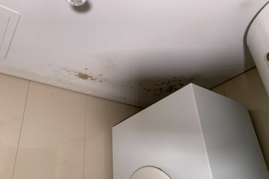 A photo of a mouldy ceiling above a clothes dryer in an apartment.