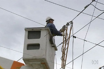Workers repair power lines. (File photo)