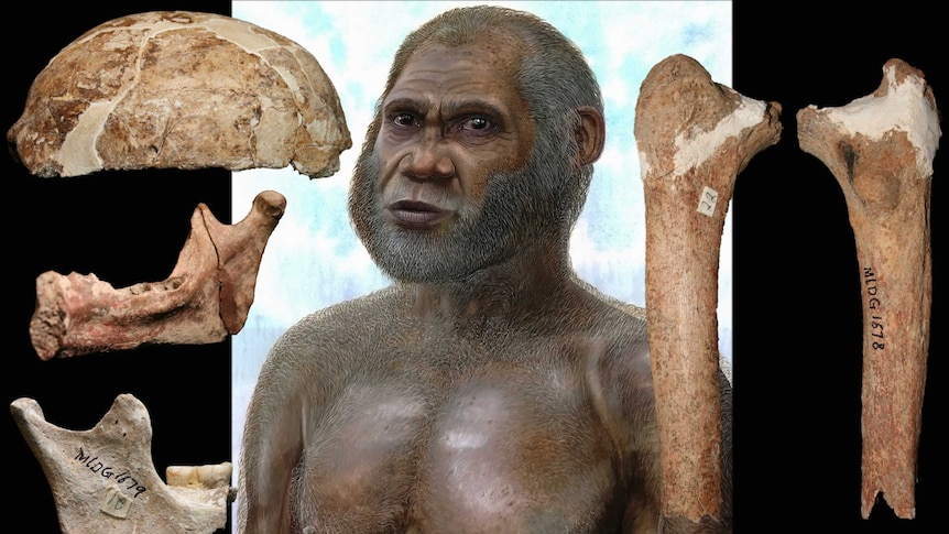 artist impression of red deer cave person and bones