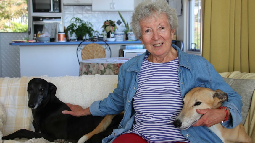 Fran Chambers sits with two of her greyhounds on a couch. The dogs look very comfortable.