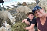 Michelle Hamilton and son Wylye tend to their flock of alpacas